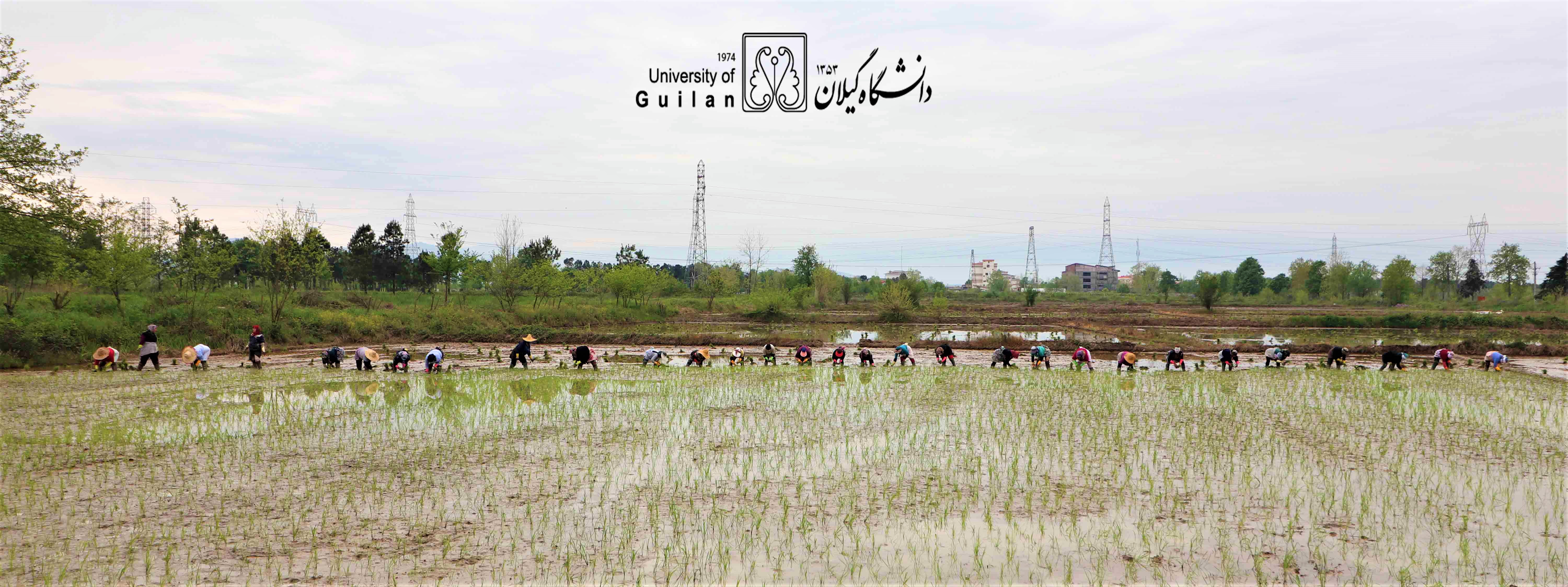 تصویر کوچک